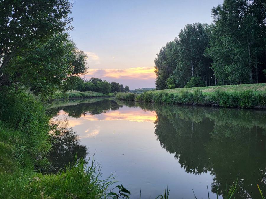 Klidná řeka Svratka se stromy na březích při západu slunce